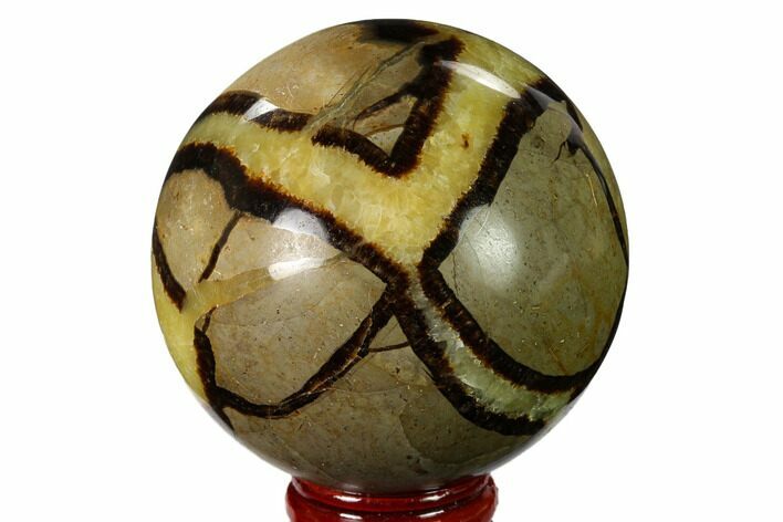 Polished Septarian Sphere - Madagascar #154143